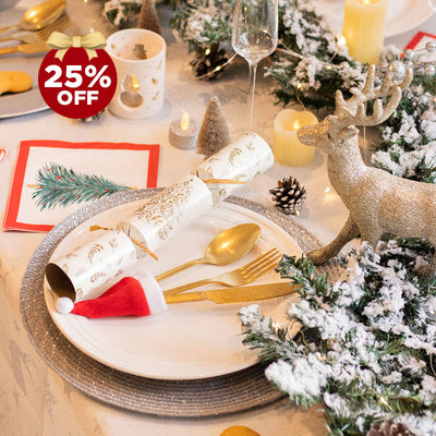 Christmas Tableware & Disposables Collection 25% off sales-MaxiDeals