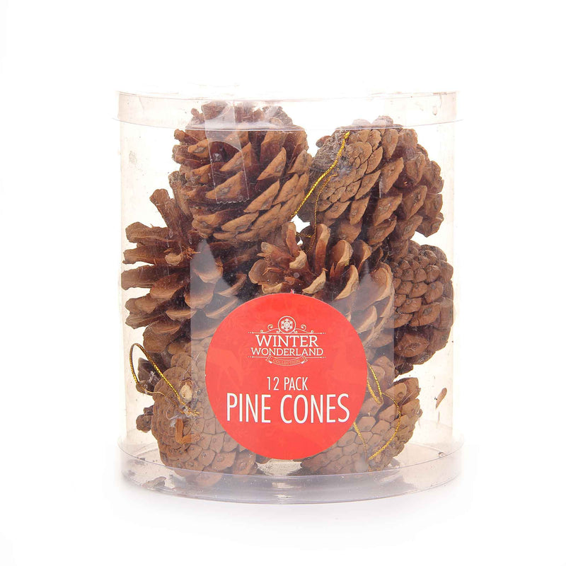 Pine Cones Decoration 12Pack