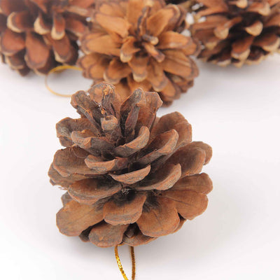 Pine Cones Decoration 12Pack