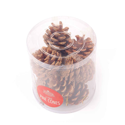 Pine Cones Decoration 12Pack