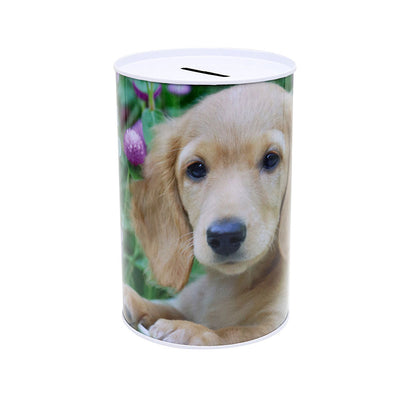 Dog Money Tin 100MM x 150MM