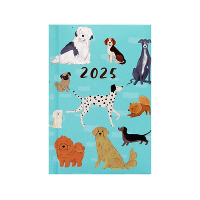 2025 Week To View Pocket Diary