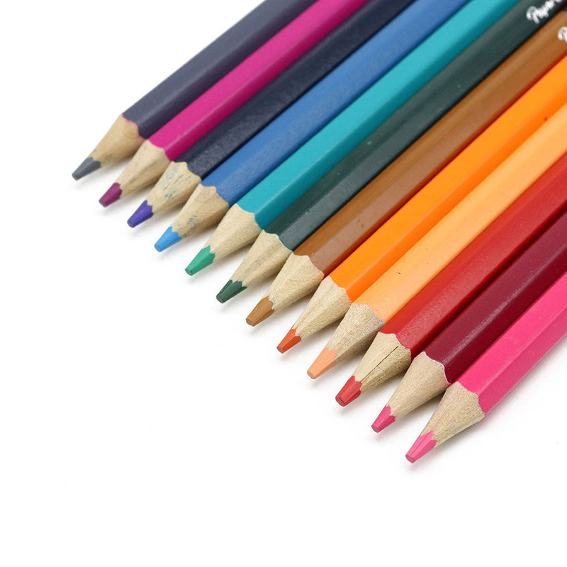 Paper Mate Colouring Pencils 12PK