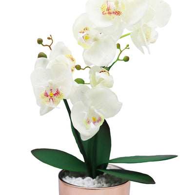 40cm Orchid With Cream & Gold Glass Pot