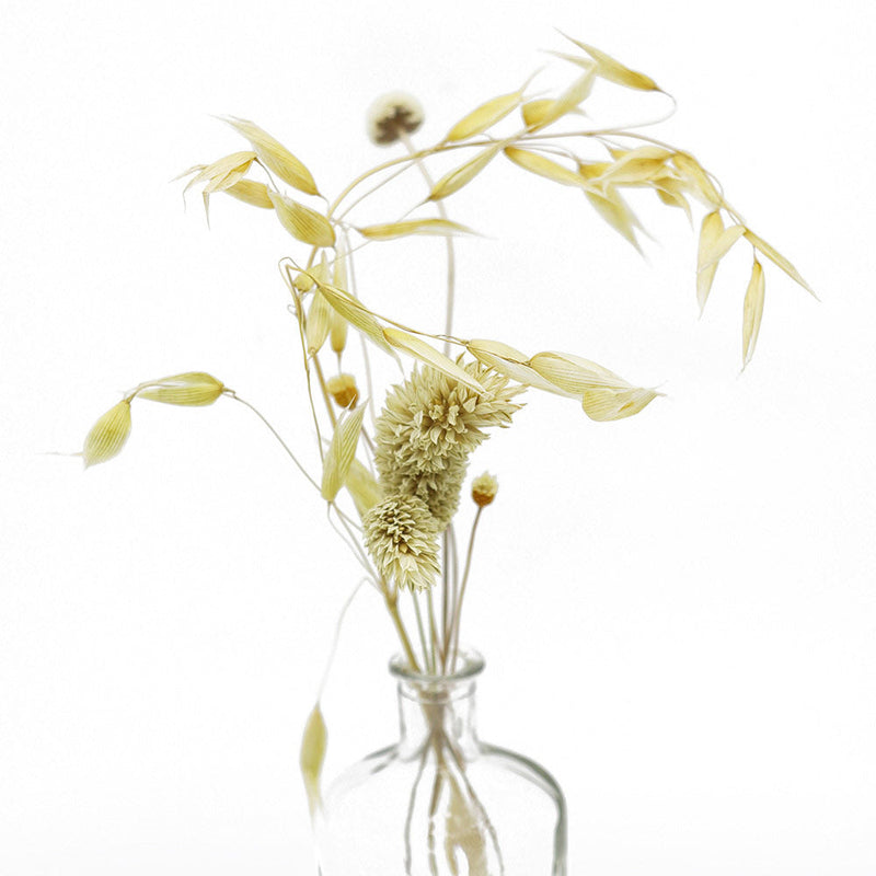 Dried Grasses & Flowers in Square Glass Vase