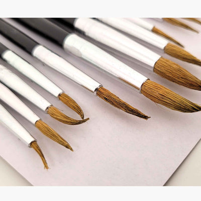 12 Natural Artist Brushes