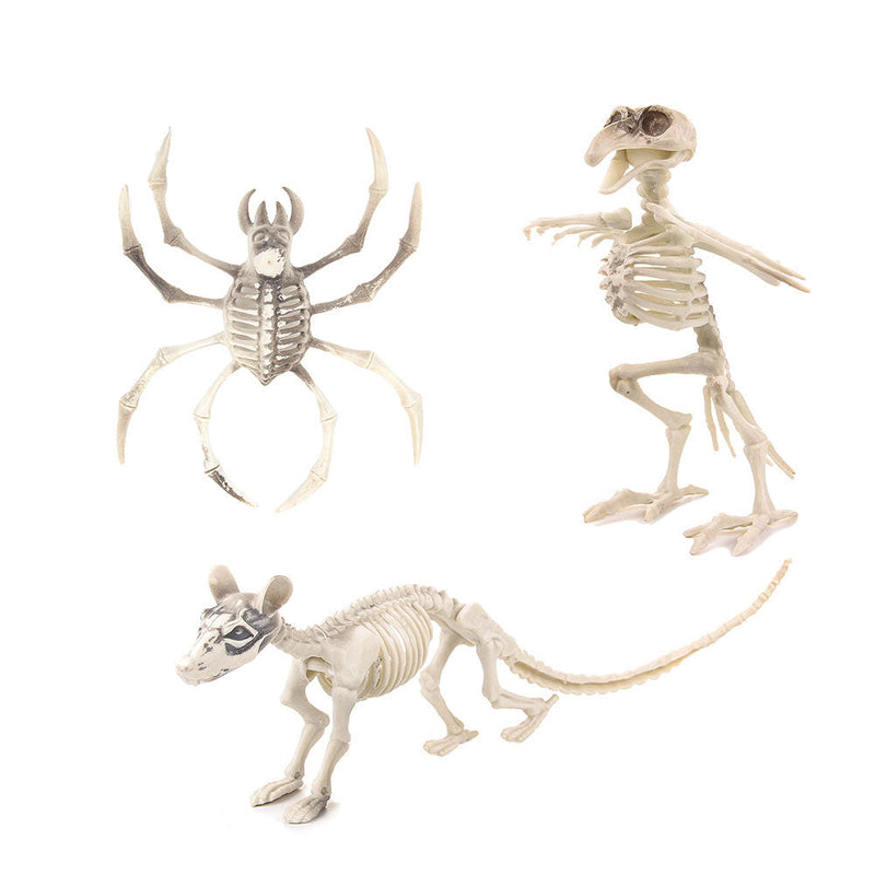 Skeleton Animals