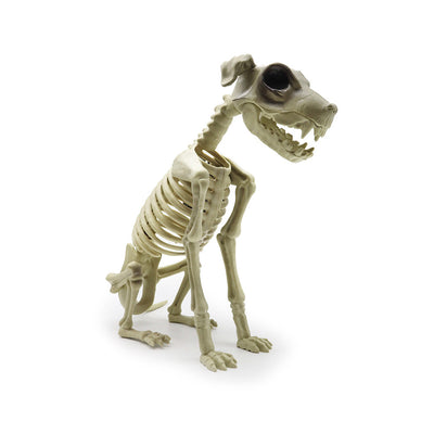 Large Skeleton Animals